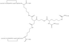 Figure US07906485-20110315-C00007