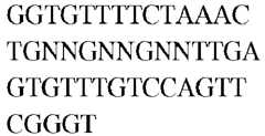 Figure imgb0376