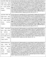 Figure imgf000030_0001