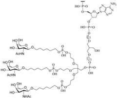 Figure imgf000147_0001