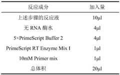 Figure BDA0001672244250000062