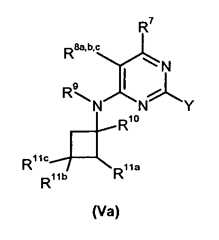 Figure imgf000107_0001