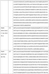 Figure BDA0004113681710001791