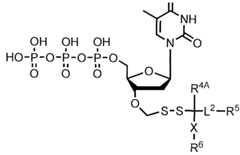 Figure imgf000218_0001