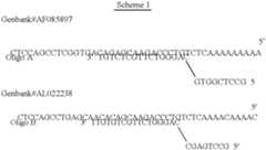 Figure US06391551-20020521-C00006