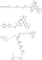 Figure BDA0003670511740002091