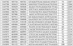 Figure BDA0003282506760001761