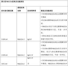 Figure BDA0003164346480001041