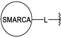 Figure FDA0003783300820000282