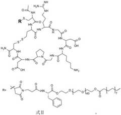 Figure FDA0003016433730000011