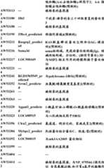 Figure BDA0000057170160001051