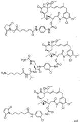 Figure imgf000341_0001