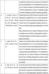 Figure BDA0002536620830000221