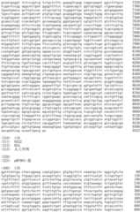 Figure IDA0002536600790000841