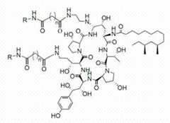 Figure 557442DEST_PATH_IMAGE001