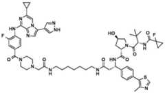 Figure BDA0002964098100001991