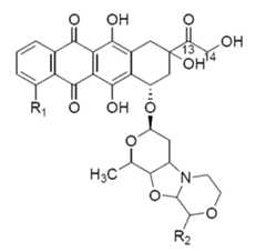 Figure 112015003553152-pat00022