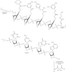 Figure US07727713-20100601-C00164