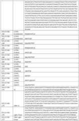 Figure imgf000096_0001