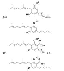 Figure imgf000012_0001