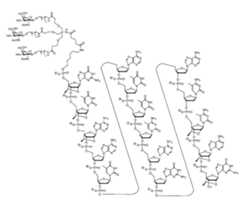 Figure 0007422816000018