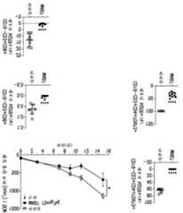 Figure P1020177012014