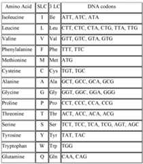 Figure imgf000054_0001