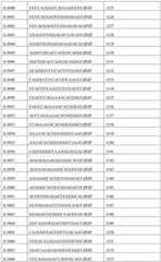 Figure BDA0002356059890002051