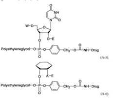Figure imgf000021_0002