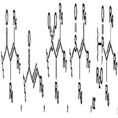 Figure 112009024346709-pct00018