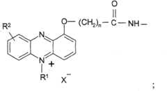 Figure BDA00003376975800312