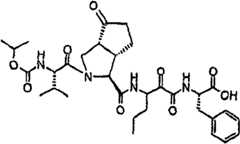 Figure G2009101493490D01322