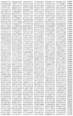 Figure IDA00002091897100261