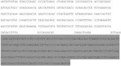 Figure BDA0001740465650000272