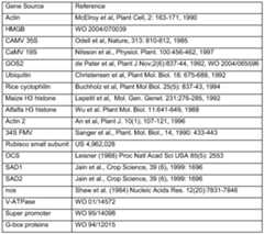 Figure imgf000019_0001
