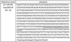 Figure imgf000035_0001