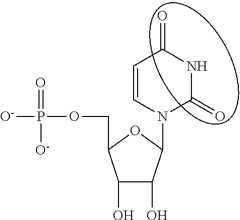 Figure US09572897-20170221-C00085