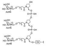 Figure 0007429103000188