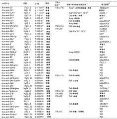 Figure G2007800067508D00641