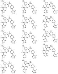 Figure BDA0003027048450001661