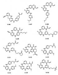 Figure BPA00001280125600601