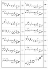 Figure 2024504932000106