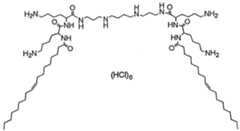 Figure imgf000017_0001