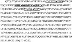 Figure BDA0003285627320001383