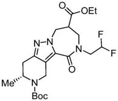 Figure BDA0003265543490001311