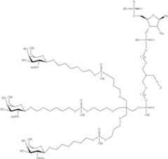 Figure US09181550-20151110-C00114