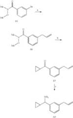 Figure US07572783-20090811-C00041