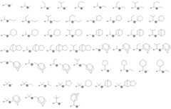 Figure 2023169812000016