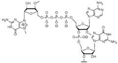 Figure imgf000170_0002