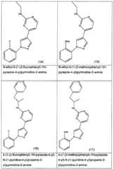 Figure imgf000009_0001